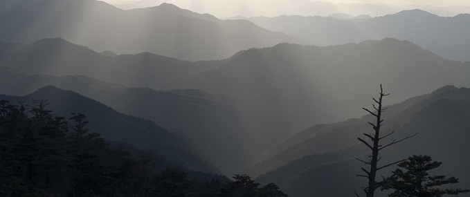 Route tip: Mt. Koya