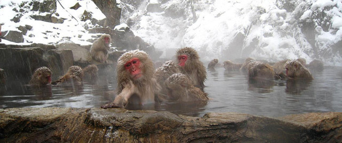 Onsen