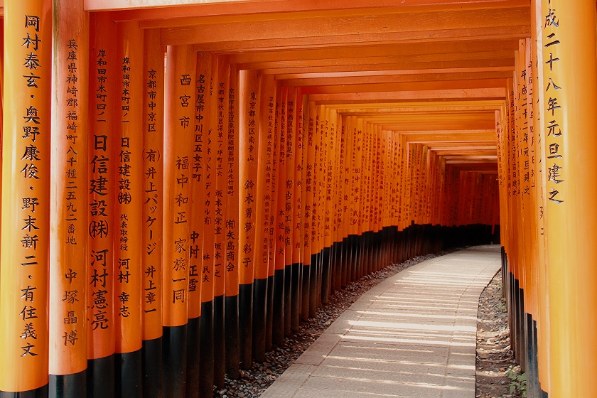 The ultimate Torii Gate Tour of